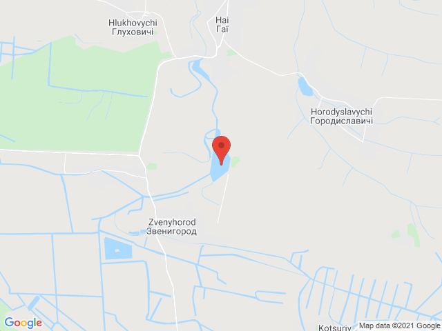 Звенигород (У Дубневича)