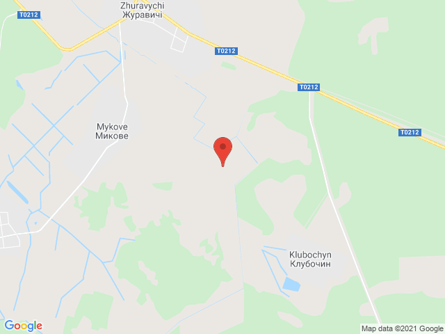 Журавичі