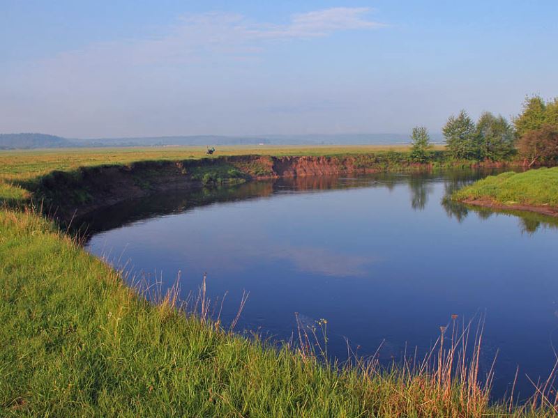 Горинь