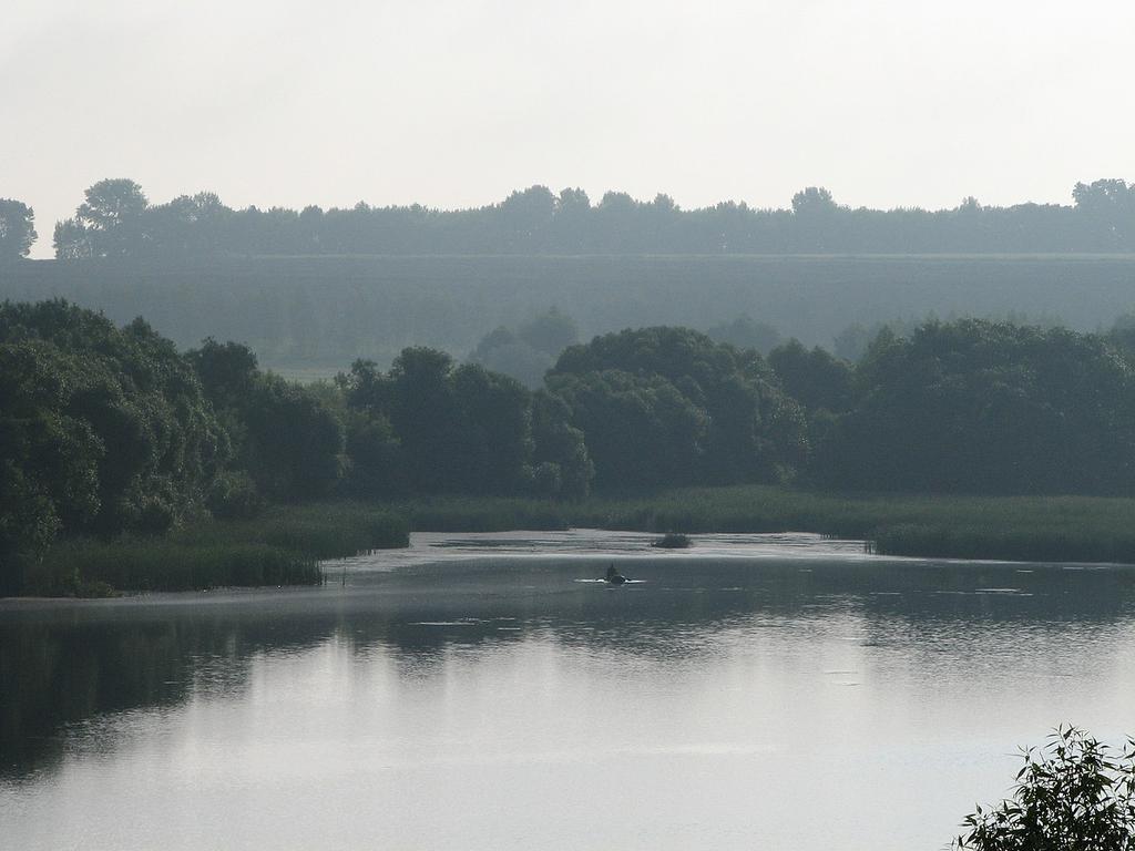 Сула