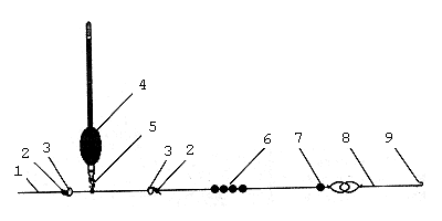 pop11 6
