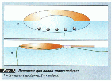 Толстолобик