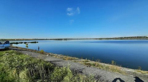 Гамаліївка (Львівське море)