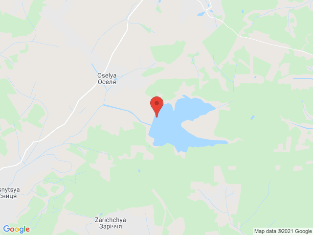Оселя